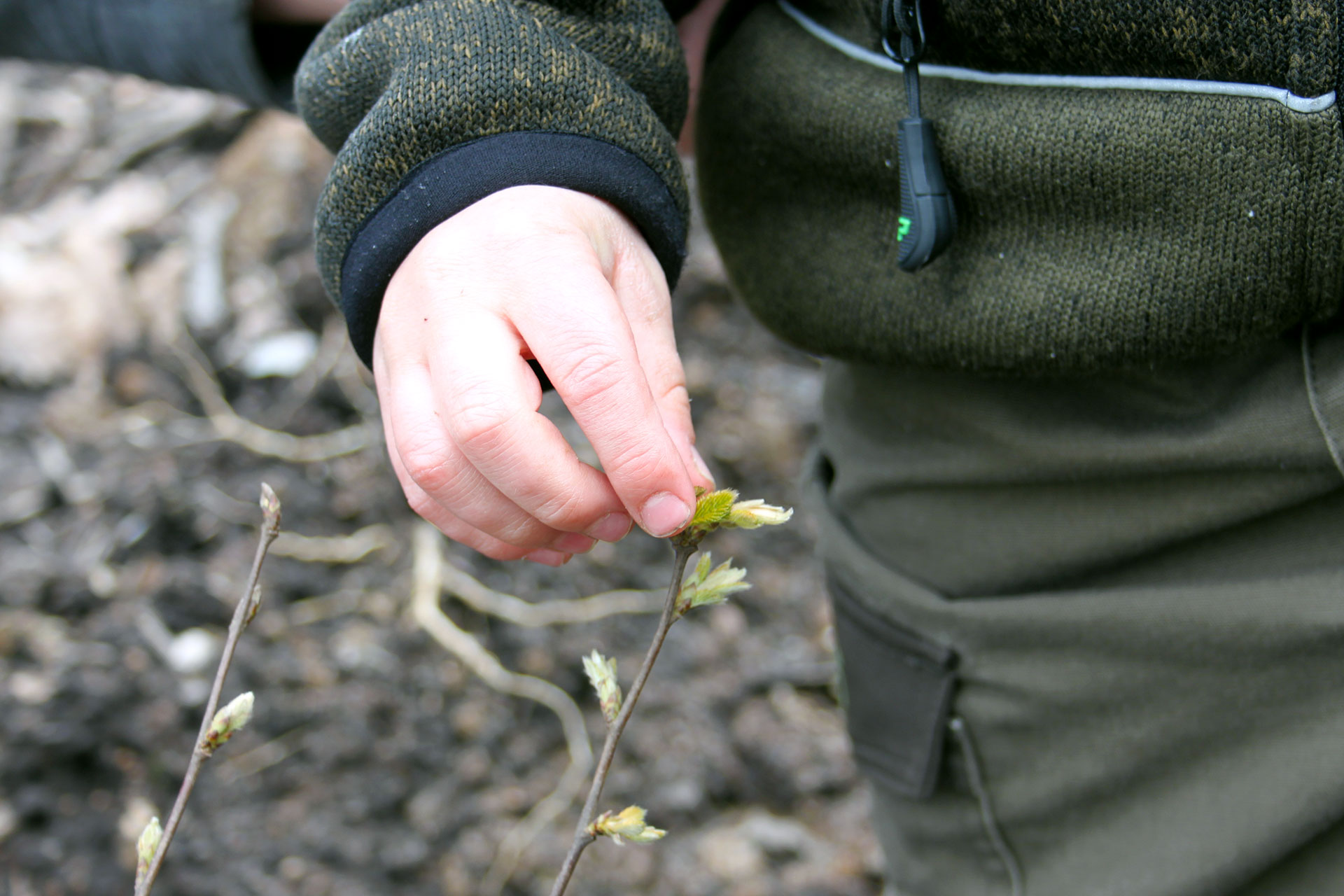 Wir reparieren den Wald